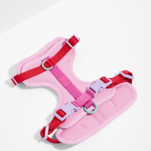Classic Cushioned Dog Harness