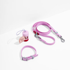 Quick-Release Dog Collar