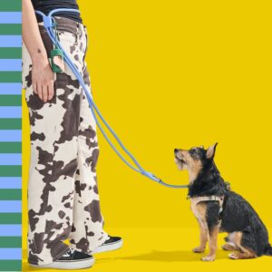 Hands-Free Rope Dog Leash